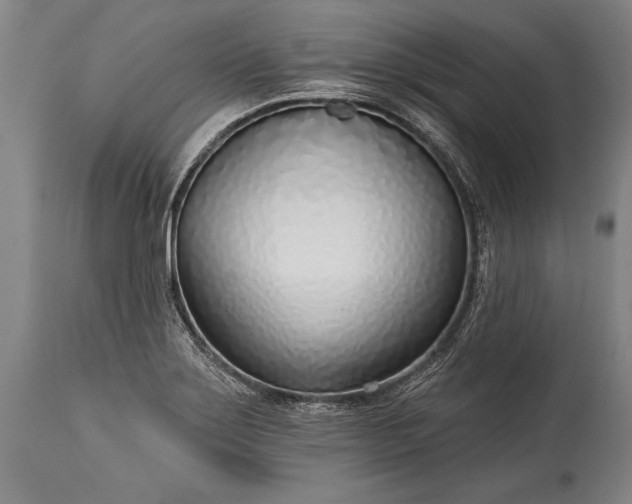 X0000115431275200911181452