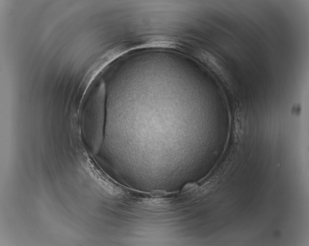 X0000115431276200911181452