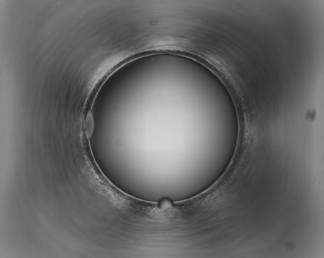 X0000115431277200911181452