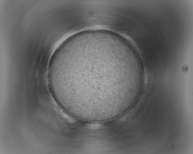 X0000115431278200911181452