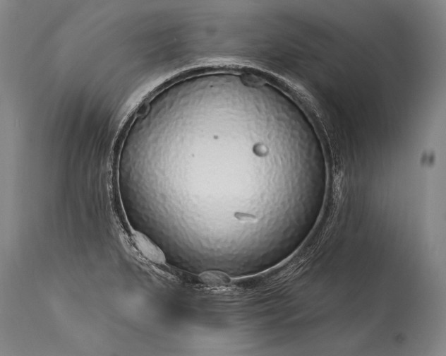 X0000115431279200911181452