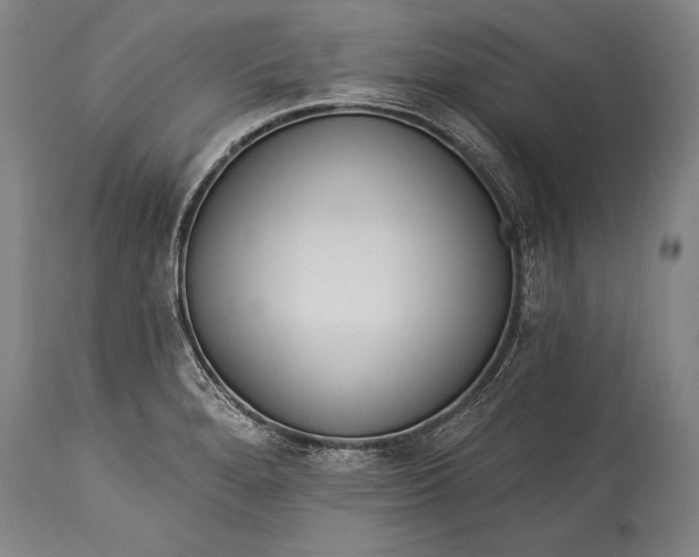 X0000115431280200911181452