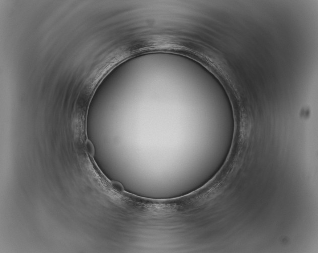 X0000115431281200911181452