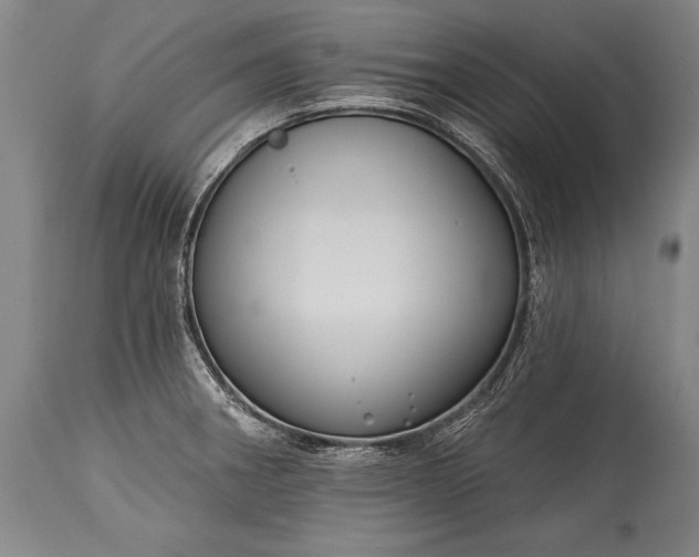 X0000115431282200911181452