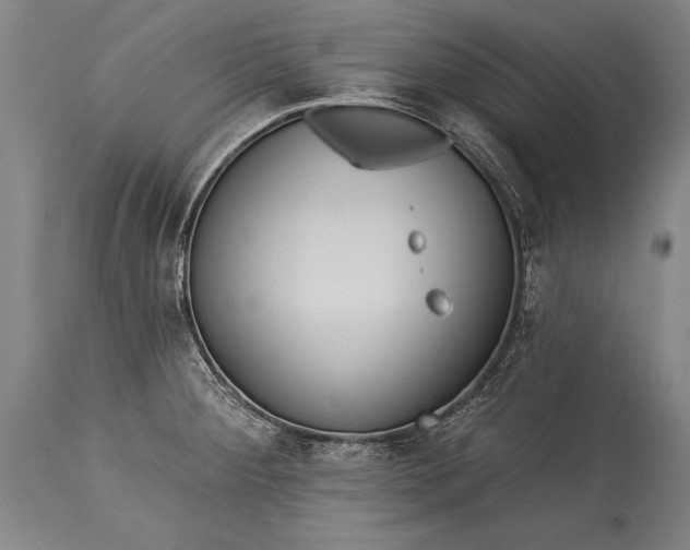 X0000115431284200911181452