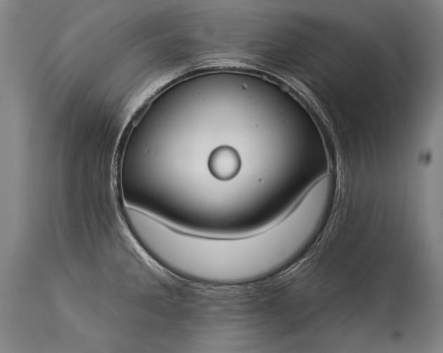 X0000115431285200911181452