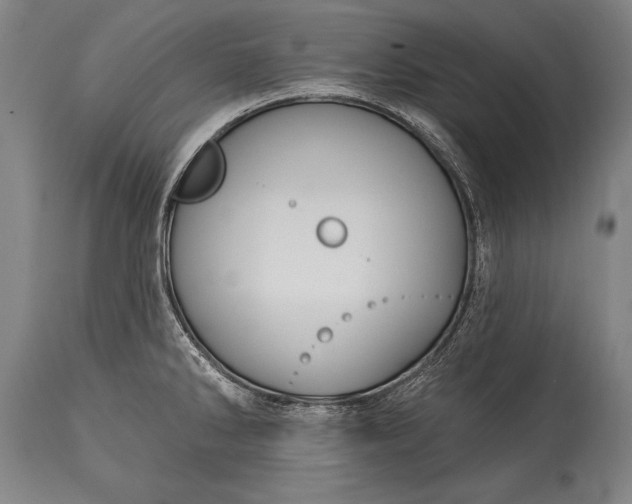 X0000115431286200911181452