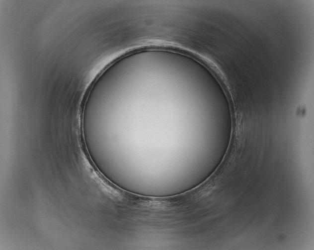 X0000115431287200911181452