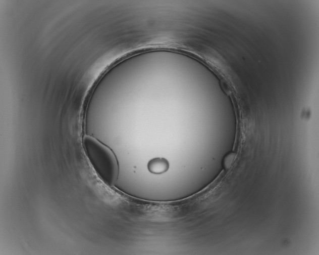 X0000115431288200911181452