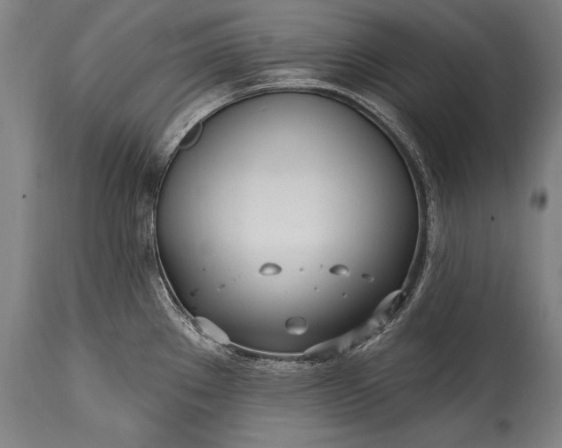 X0000115431289200911181451