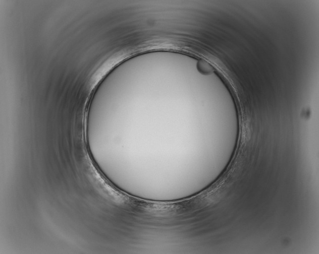 X0000115431290200911181451