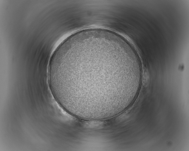 X0000115431294200911181451