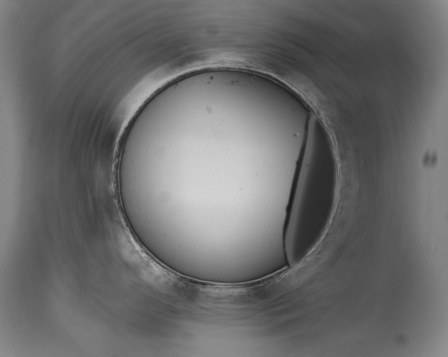 X0000115431296200911181451