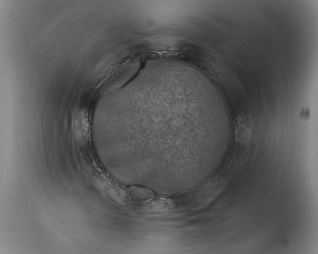 X0000115431298200911181451