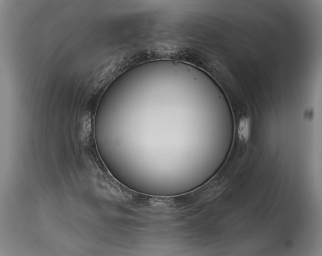 X0000115431299200911181451