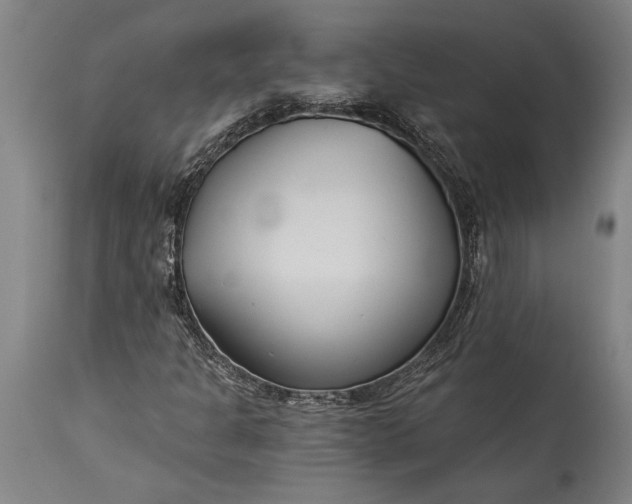 X0000115431301200911181451