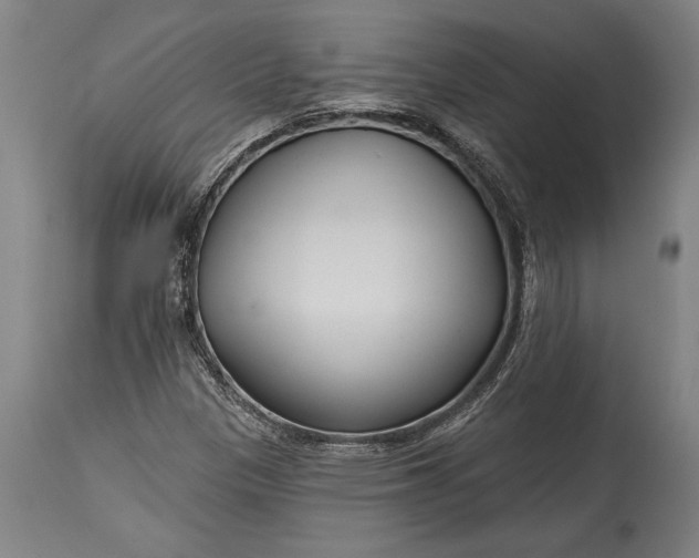 X0000115431305200911181451