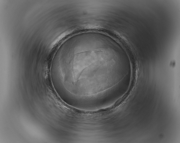 X0000115431306200911181451