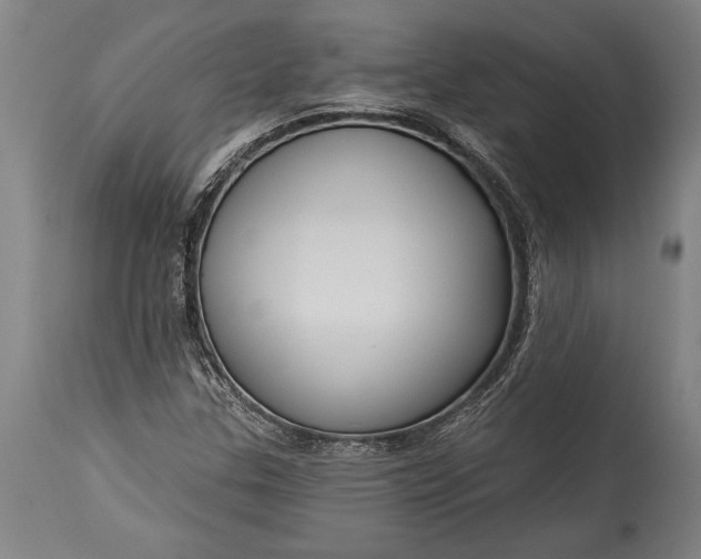 X0000115431307200911181451