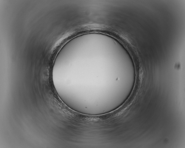 X0000115431309200911181451