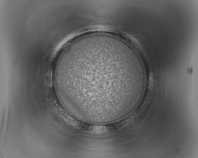 X0000115431310200911181451