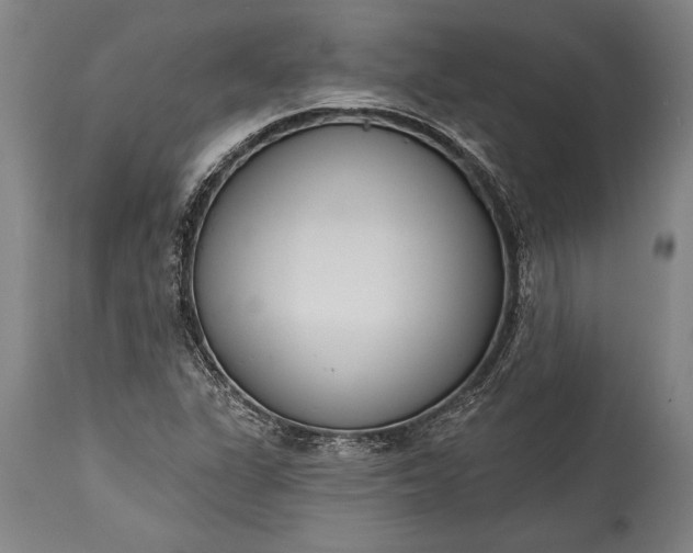 X0000115431311200911181451