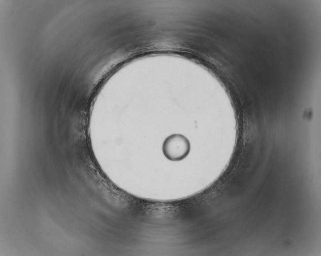 X0000115431314200911181451