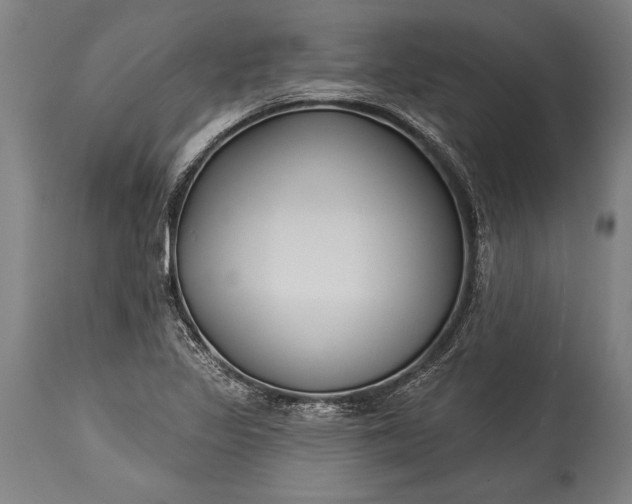 X0000115431317200911181451