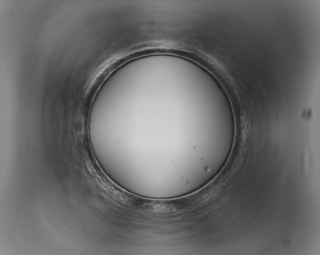 X0000115431318200911181451