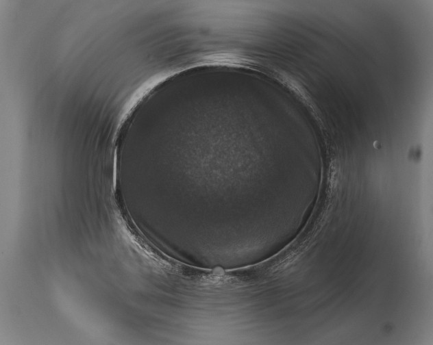 X0000115431323200911181451