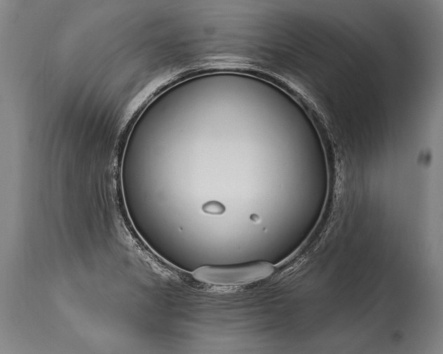 X0000115431325200911181451