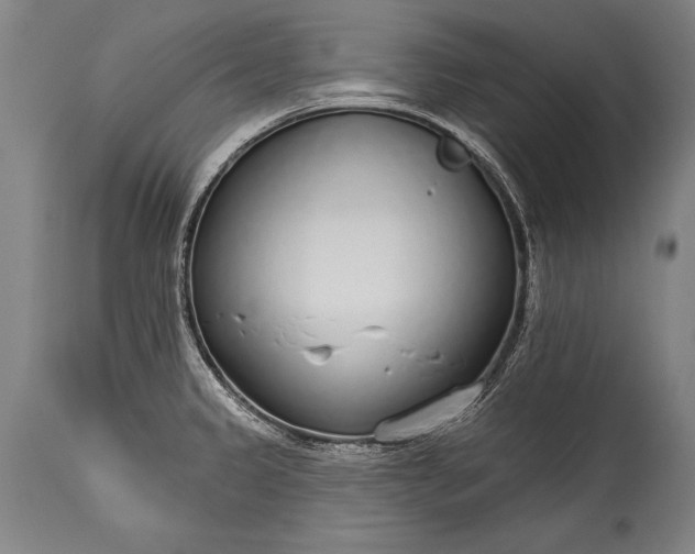 X0000115431333200911181451