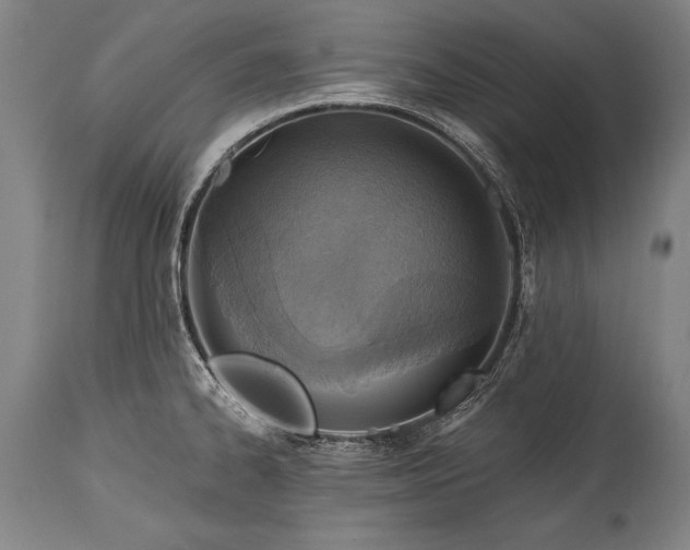 X0000115431334200911181451