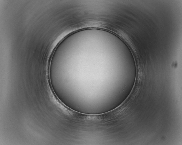 X0000115431339200911181451