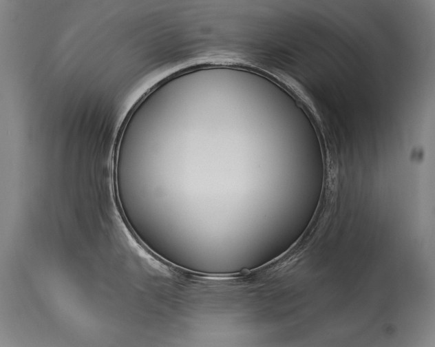 X0000115431343200911181451