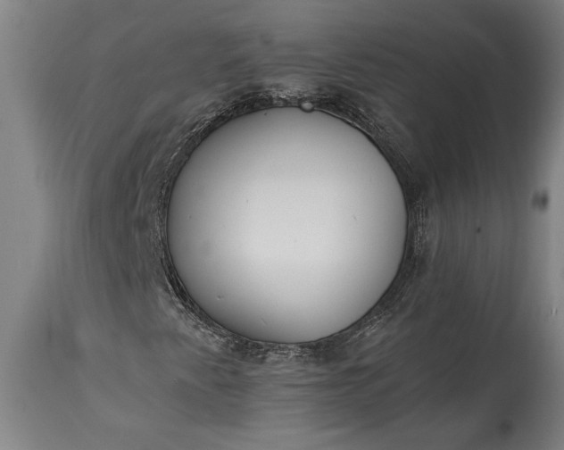 X0000115431345200911181451