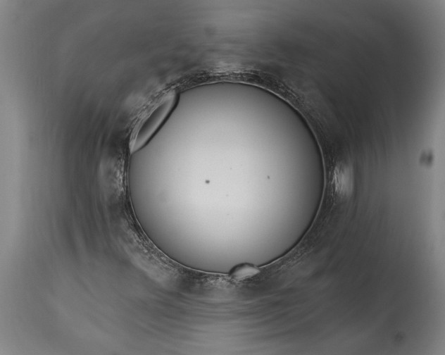 X0000115431348200911181451