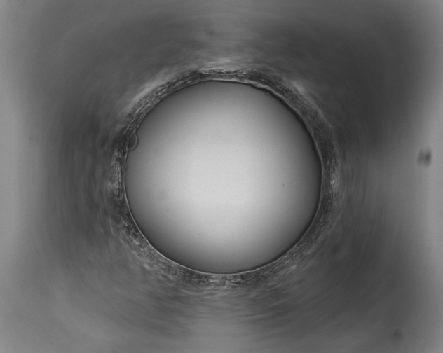 X0000115431350200911181451