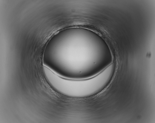 X0000115431353200911181451