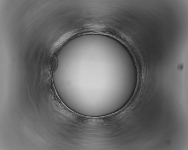 X0000115431354200911181451