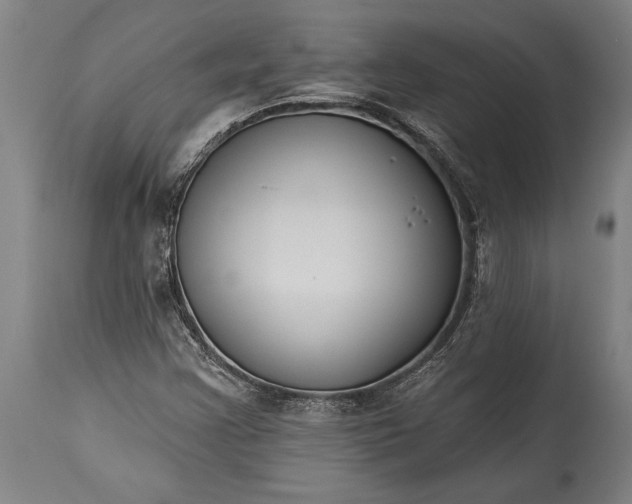 X0000115431355200911181451