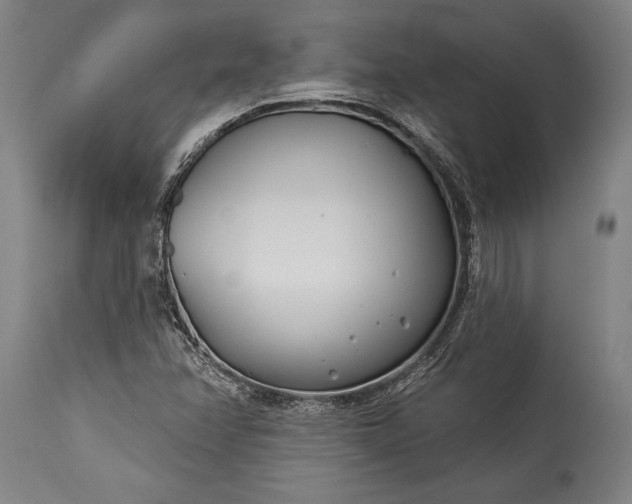 X0000115431358200911181451