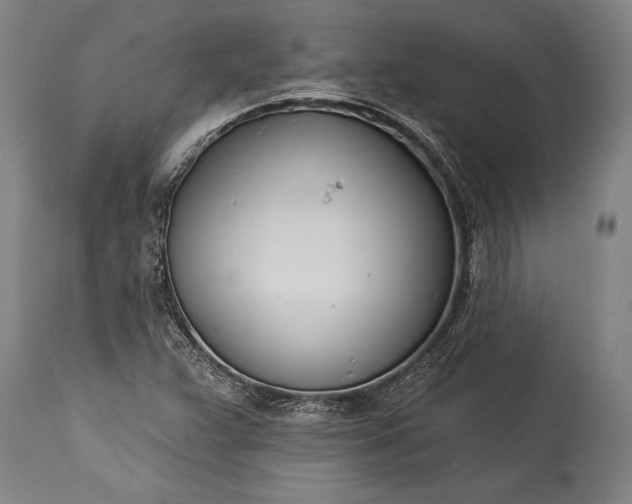 X0000115431359200911181451