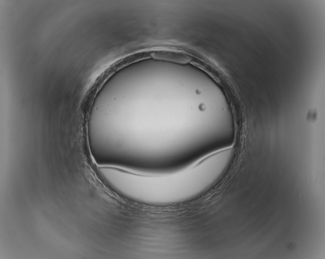 X0000115431360200911181451