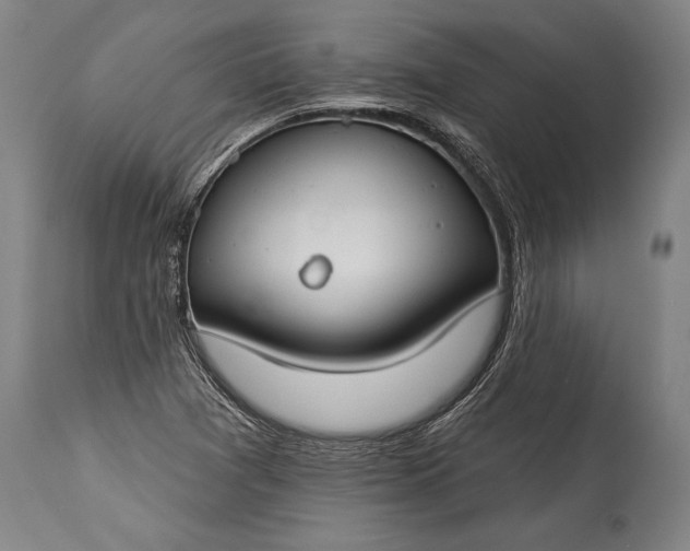 X0000115431361200911181451