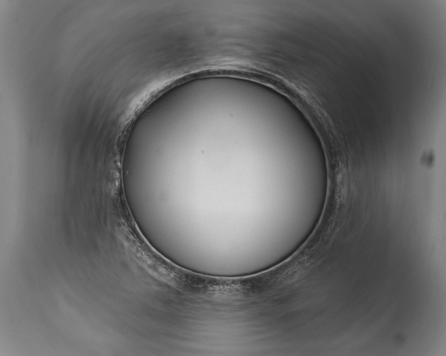 X0000115431363200911181450