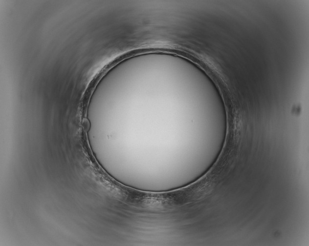 X0000115431364200911181450