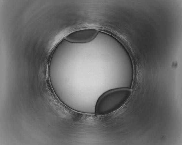 X0000115431365200911181450