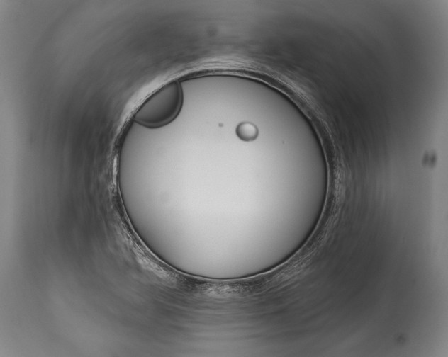 X0000115431366200911181450