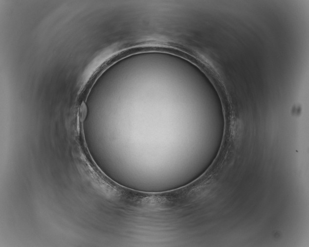 X0000115431368200911181450